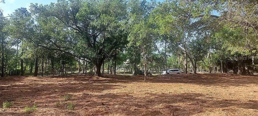Property photo for 24614 TANGERINE AVENUE, Punta Gorda, FL