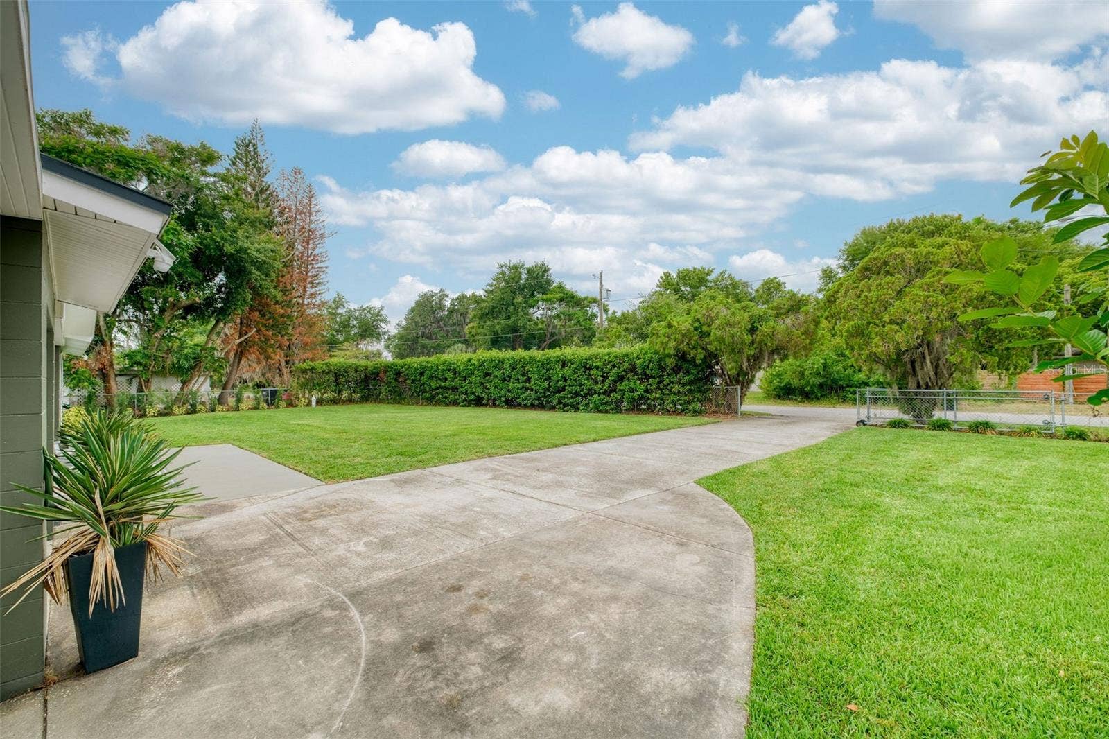 5769 ROCKWOOD AVENUE, Orlando, FL 32839 10-foot Viburnum Hedges for Privacy