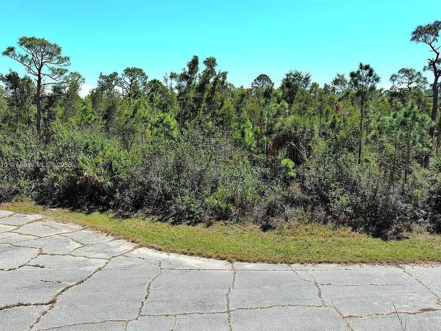 Property photo for Placida, FL