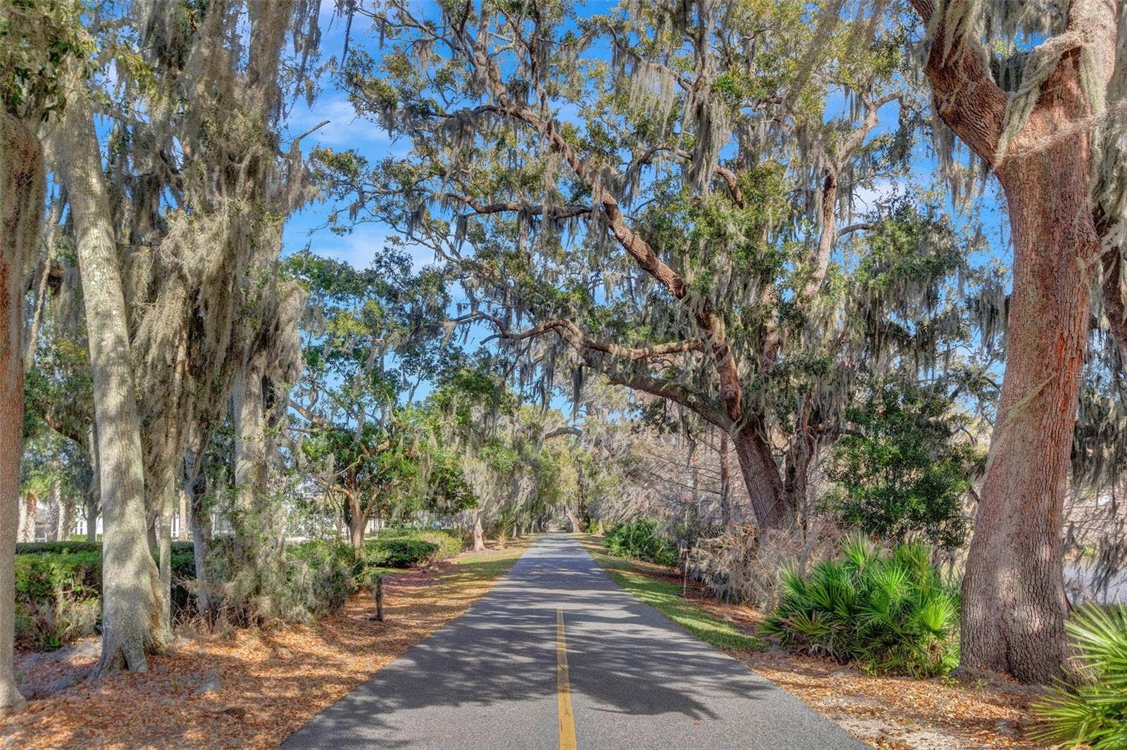 907 EASLEY AVENUE, Winter Garden, FL 34787 22 Mile Long West Orange Trail