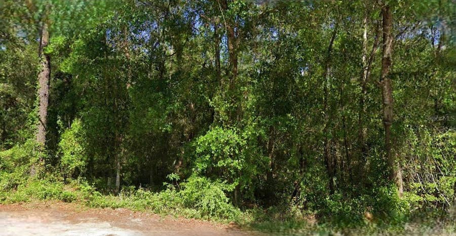 Property photo for NE 6TH LANE ROAD, Silver Springs, FL