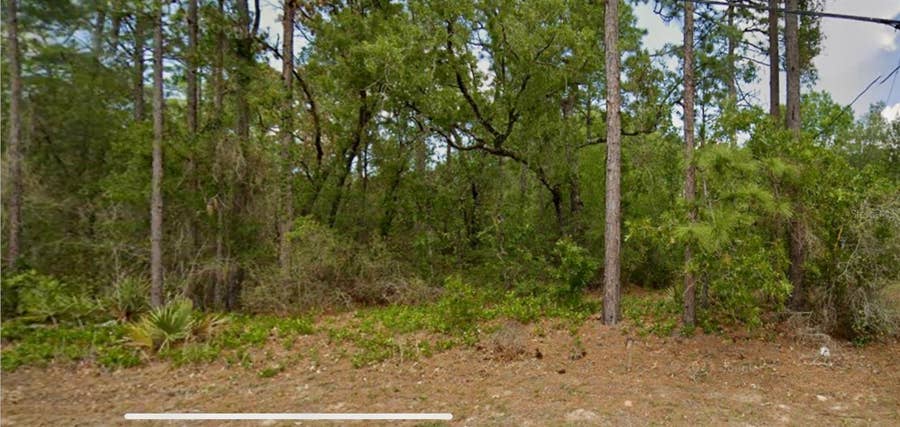 Property photo for 8550 N CITRUS SPRINGS BOULEVARD, Citrus Springs, FL