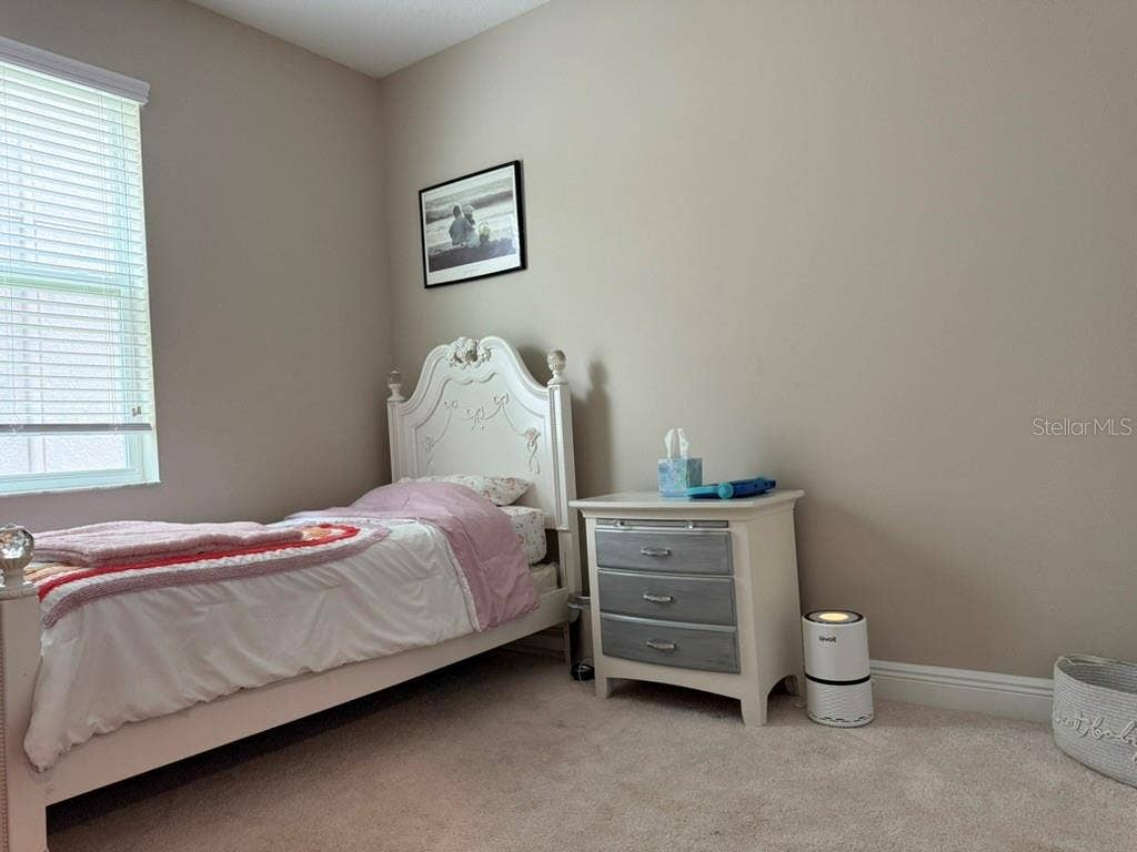 7749 BRONZE OAK DRIVE, Wesley Chapel, FL 33545 7749 BRONZE OAK DRIVE, Wesley Chapel, FL 33545
