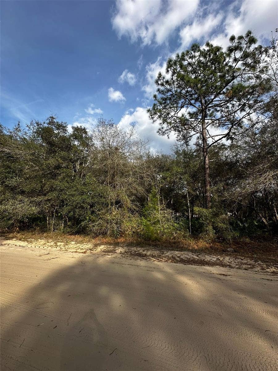 Property photo for 13-10-24-4079-0060-0040, Interlachen, FL