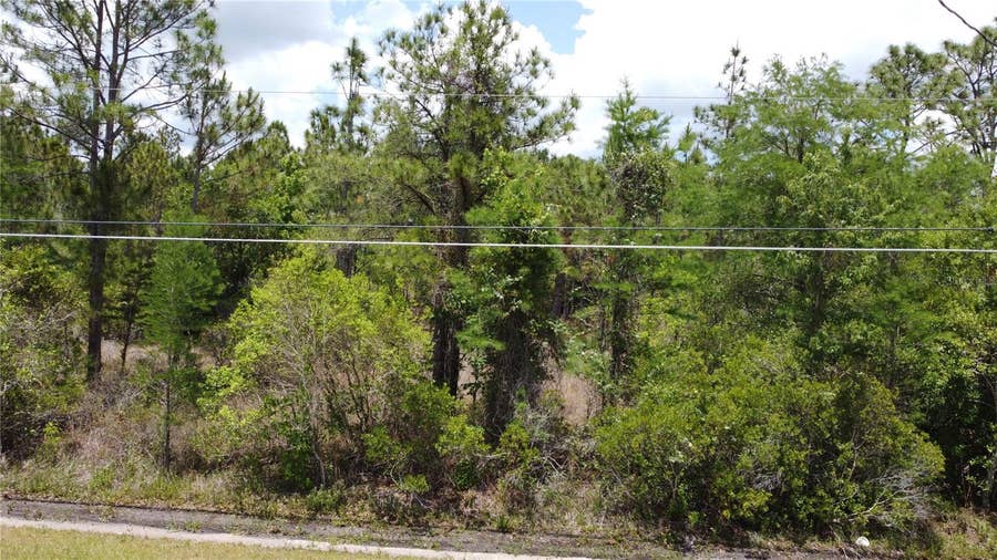 Property photo for STARRY STREET, Orlando, FL