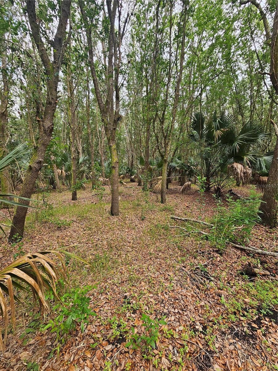 Property photo for 601 HOWARD AVENUE, Oviedo, FL