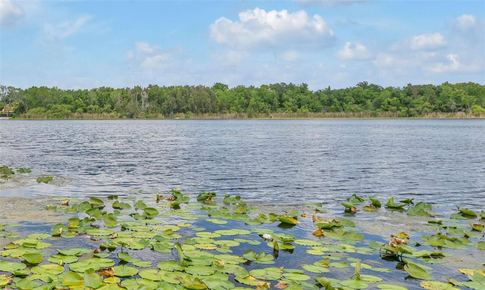 1841 LAKE SPIER DRIVE, Winter Park, FL 32789 1841 LAKE SPIER DRIVE, Winter Park, FL 32789