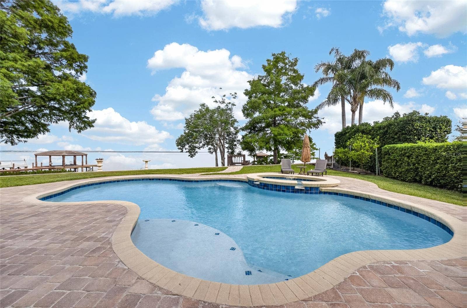 279 ZACHARY WADE STREET, Winter Garden, FL 34787 Amazing outdoor living space with well designed heated pool and raised spa, lounging area and dock
