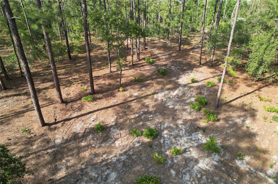 Property photo for SE 148TH COURT, Morriston, FL