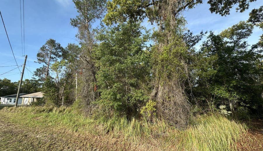 Property photo for 0 OLIVE CIRCLE, Ocala, FL