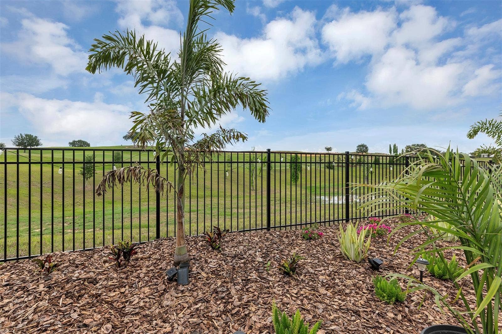 16136 VOLTERRA POINT, Bella Collina, FL 34756 Fenced yard