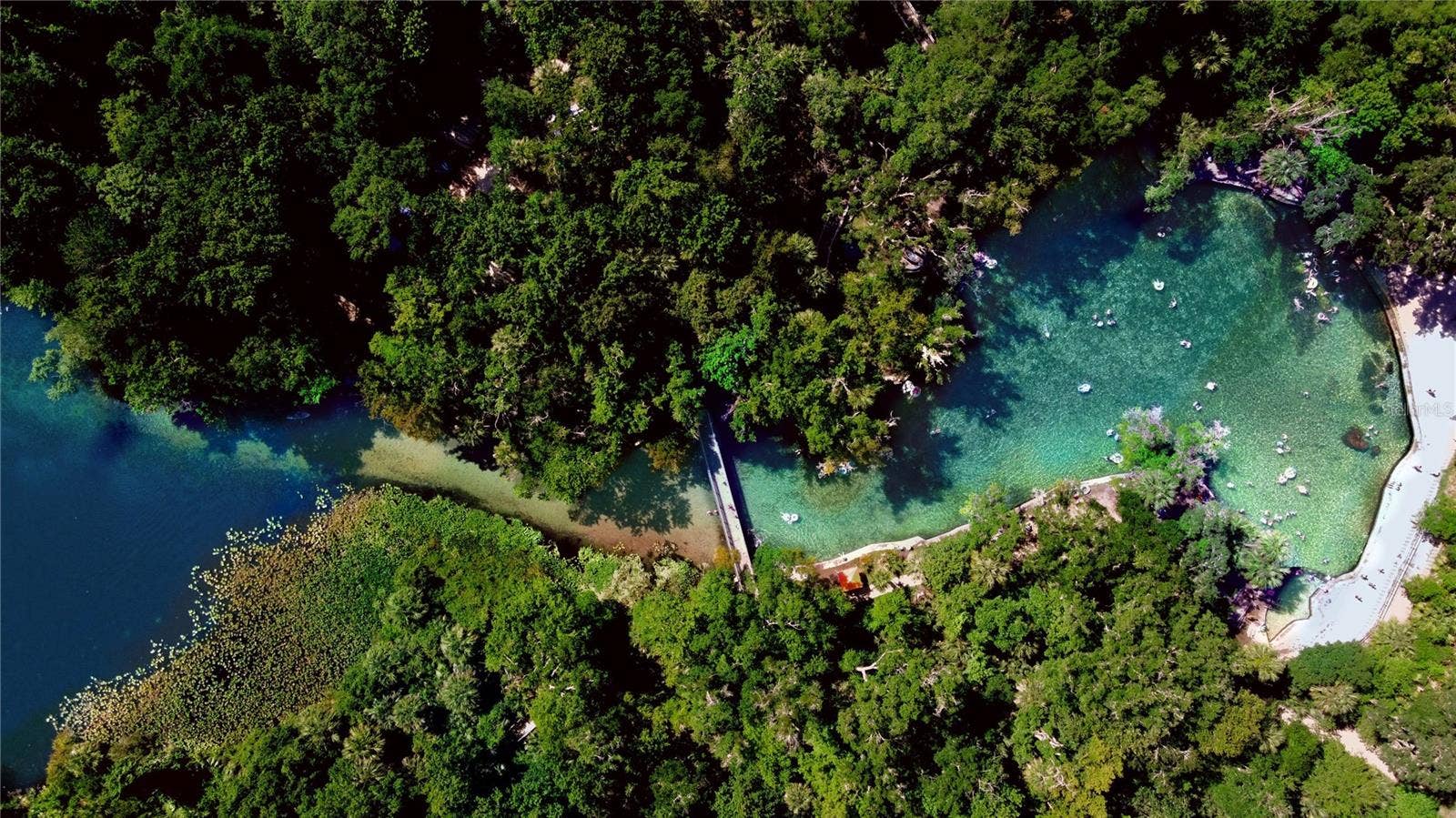 1349 VALLEY PINE CIRCLE, Apopka, FL 32712 Wekiwa Springs State Park ~1 Mile Away!