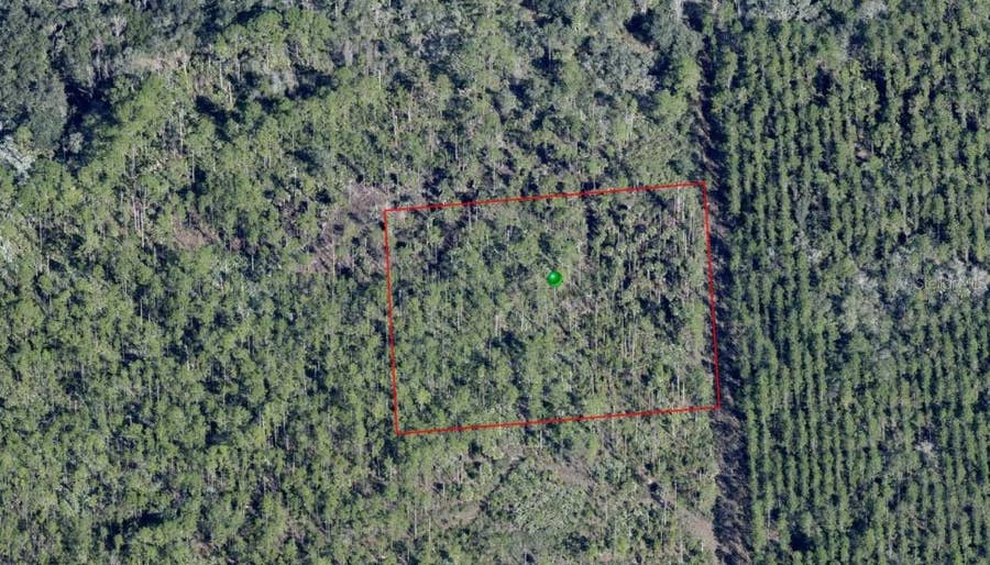 Property photo for LAKE HARNEY ROAD, Osteen, FL