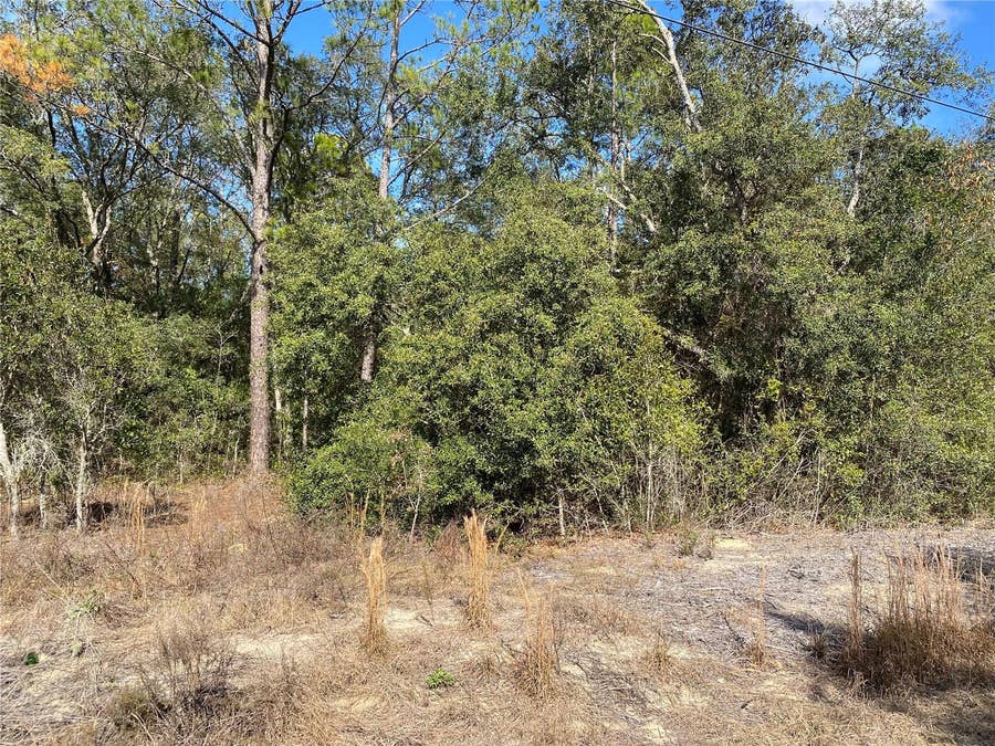 Property photo for 21523 SW BEACH BOULEVARD, Dunnellon, FL