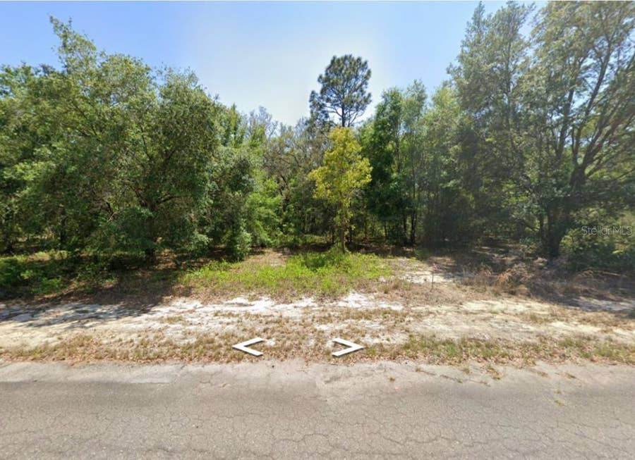 Property photo for 0 GUAVA LANE PLACE, Ocklawaha, FL