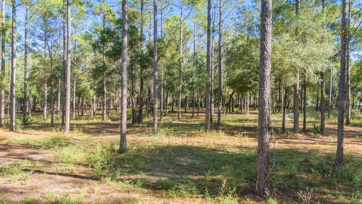 24250 DEEP SPRINGS LOOP, Eustis, FL 32736 24250 DEEP SPRINGS LOOP, Eustis, FL 32736