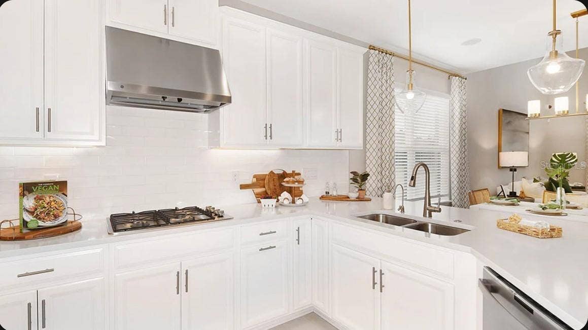 32477 SEA LOCH LOOP, Mount Dora, FL 32757 Representative Photo