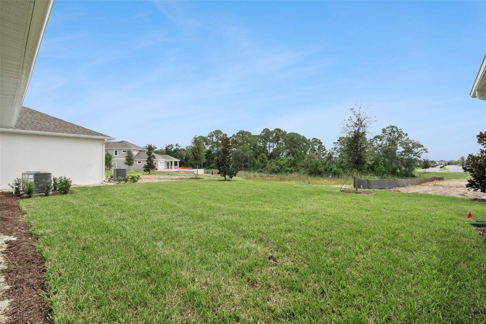 17422 HONEYBELL TANGELO COURT, Winter Garden, FL 34787 Backyard