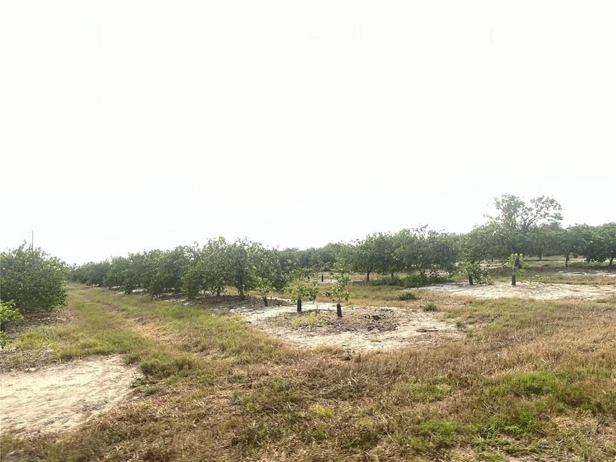 Property photo for NE HWY 70, Arcadia, FL