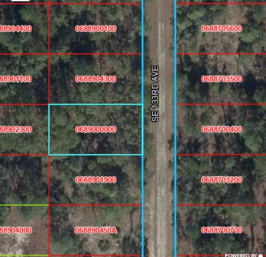 Property photo for TBD 133RD AVENUE, Dunnellon, FL