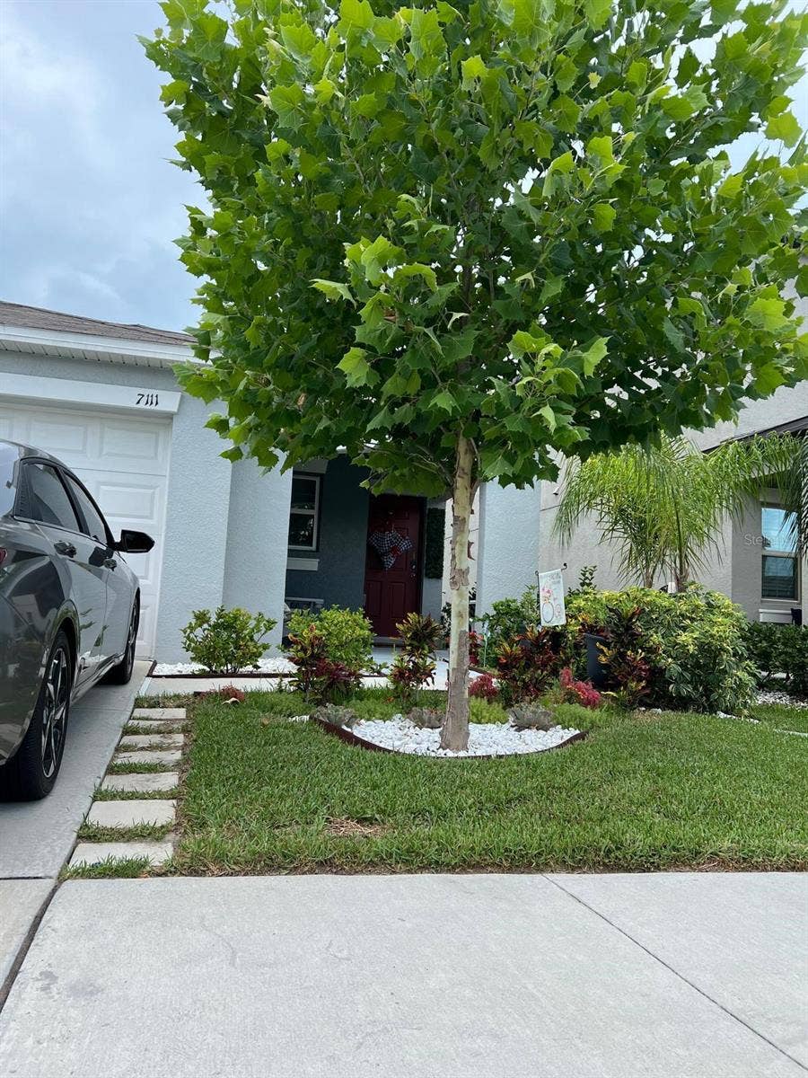 7111 AMELIA COVE COURT, Sun City Center, FL 33573 7111 AMELIA COVE COURT, Sun City Center, FL 33573