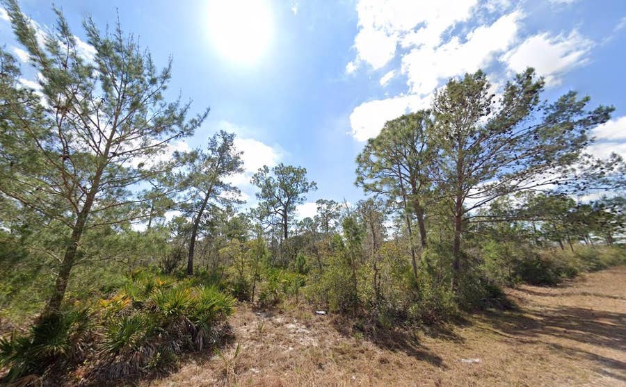 Property photo for 3049 CEDAR HILL AVENUE, Lake Placid, FL