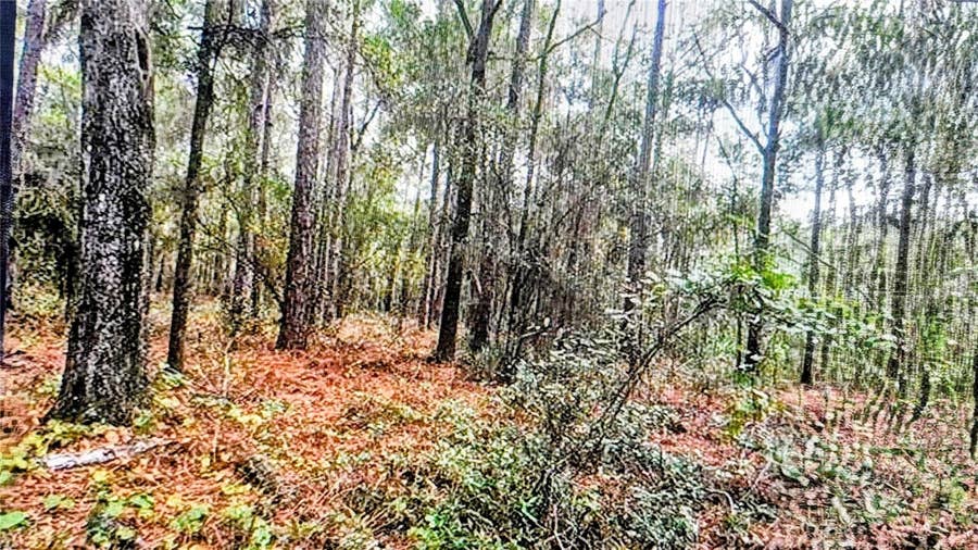 Property photo for 2871 W SUNKIST LANE, Dunnellon, FL