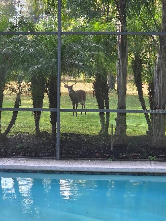 2461 WASSUM TRAIL, Oviedo, FL 32766 2461 WASSUM TRAIL, Oviedo, FL 32766