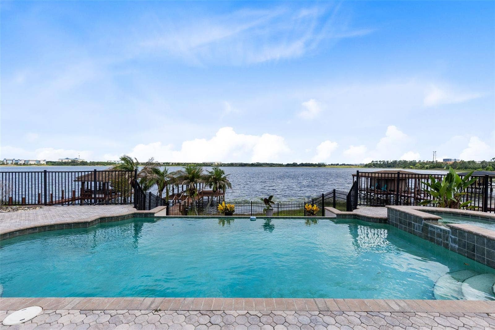 10273 COVE LAKE DRIVE, Orlando, FL 32836 Pool with Lake View