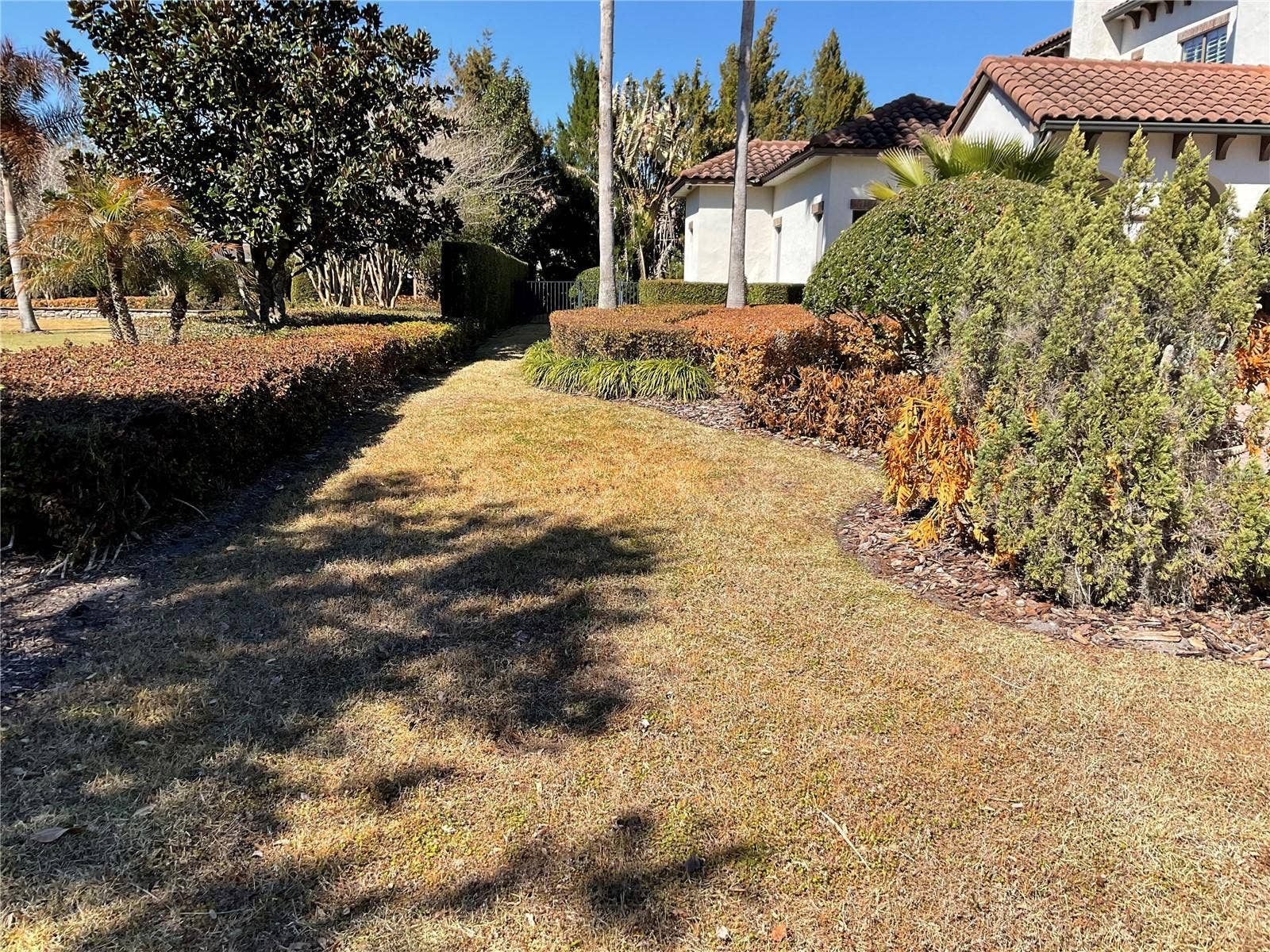 11406 WATERSTONE LOOP DRIVE, Windermere, FL 34786