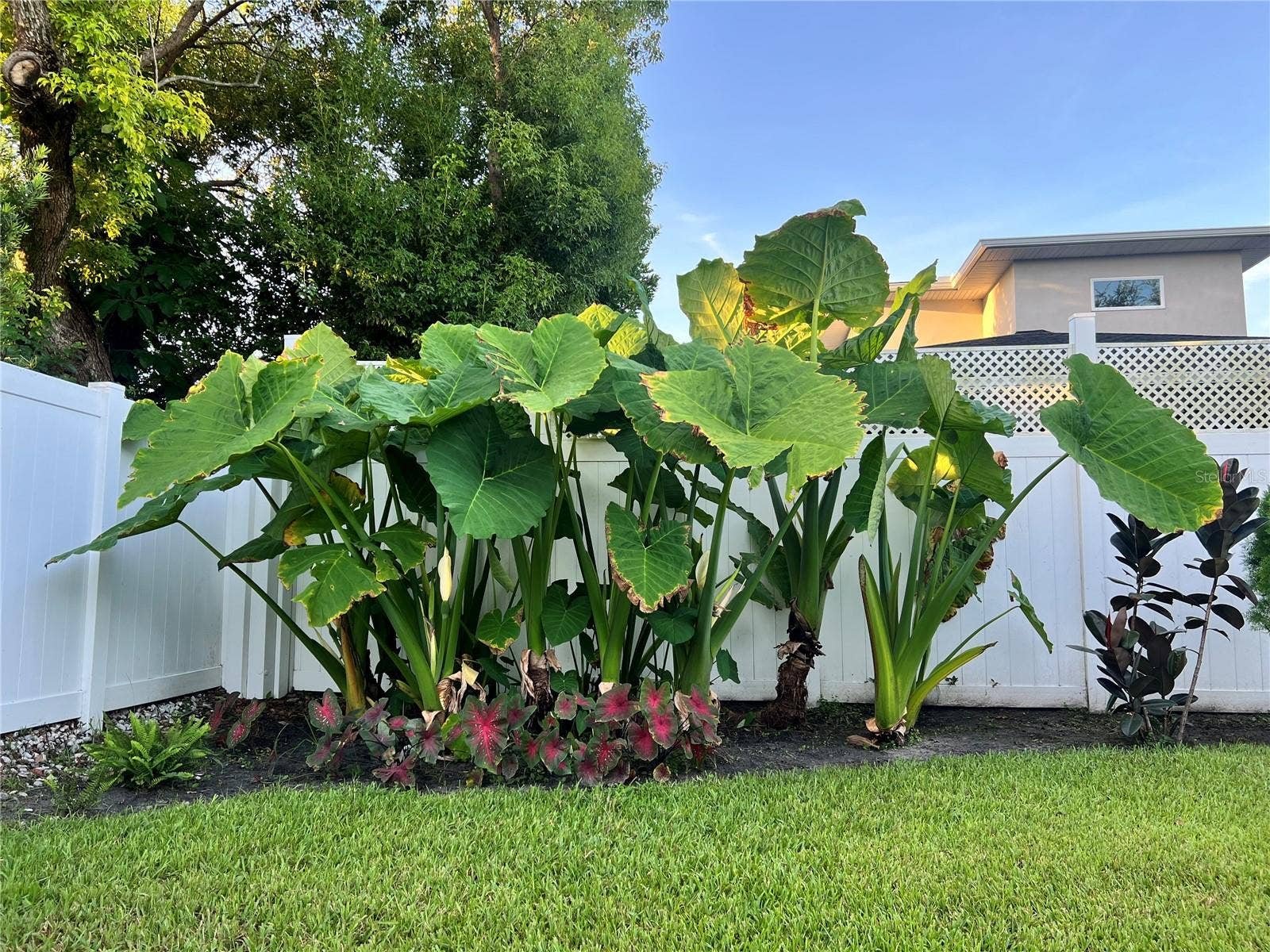 840 W CANTON AVENUE, Winter Park, FL 32789 840 W CANTON AVENUE, Winter Park, FL 32789