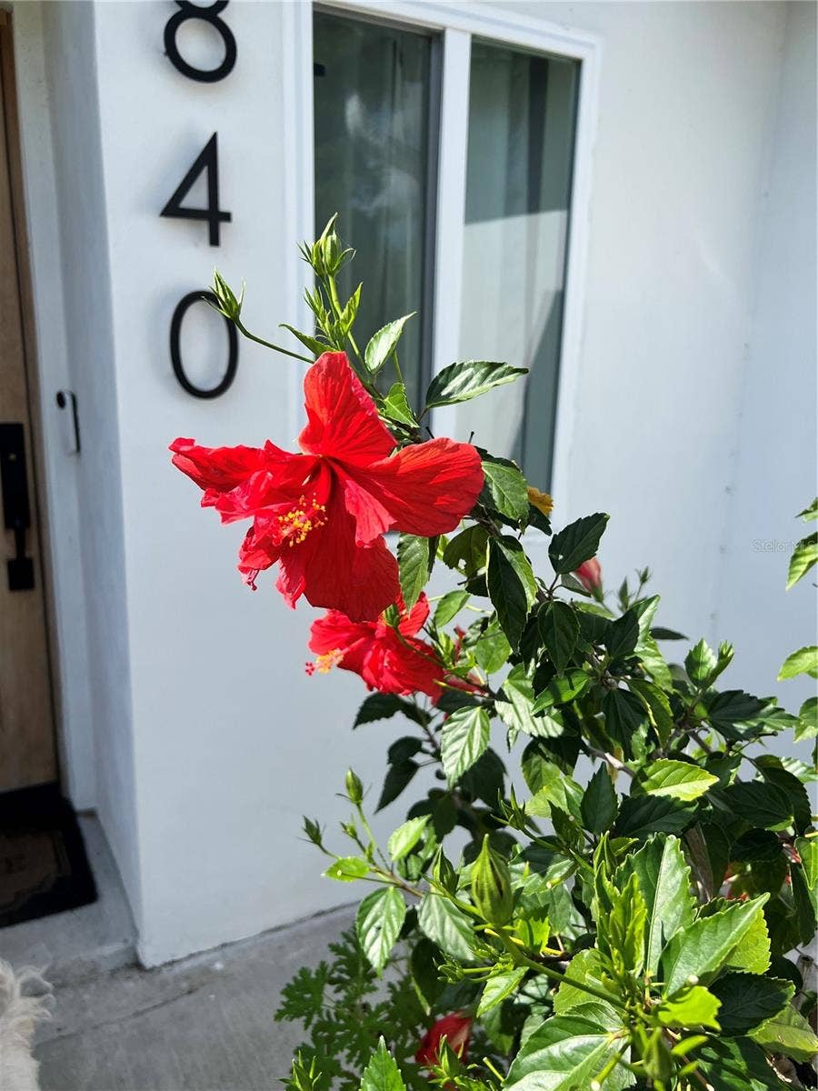 840 W CANTON AVENUE, Winter Park, FL 32789 840 W CANTON AVENUE, Winter Park, FL 32789