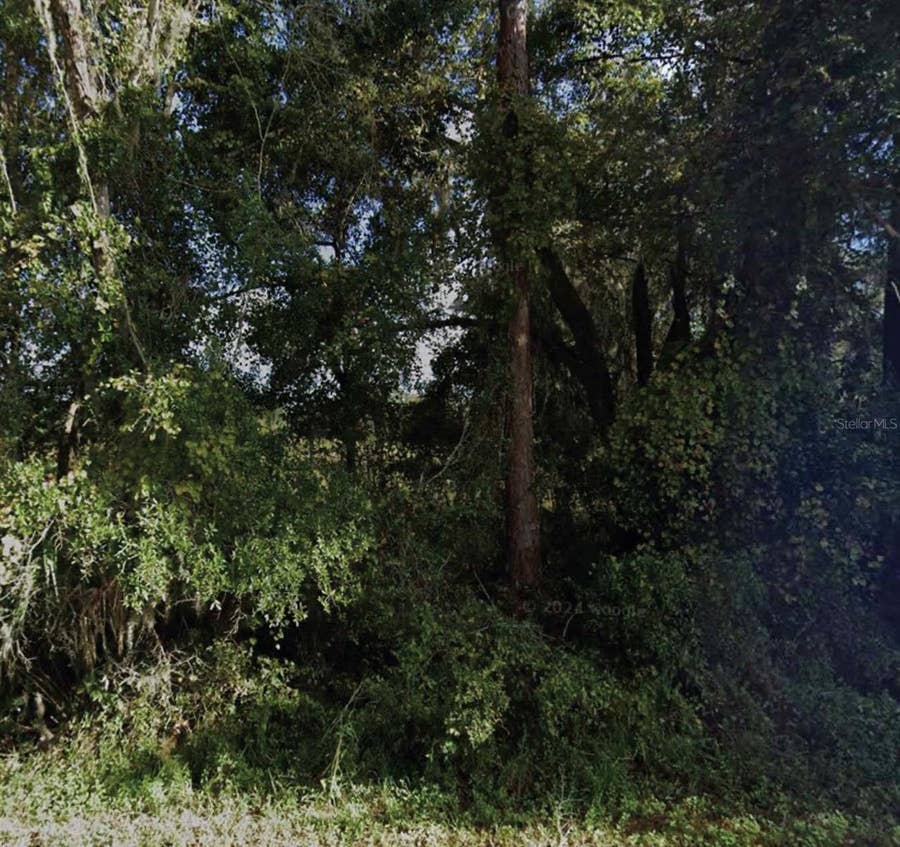 Property photo for NE 234TH PLACE ROAD, Fort Mc Coy, FL