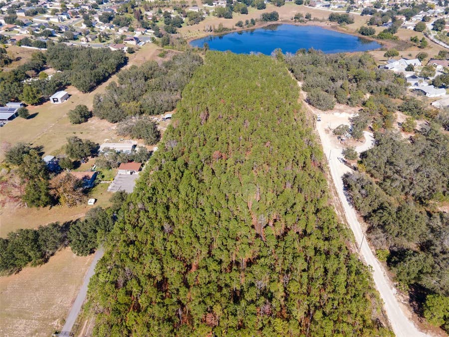 Property photo for LOST LAKE ROAD, Clermont, FL