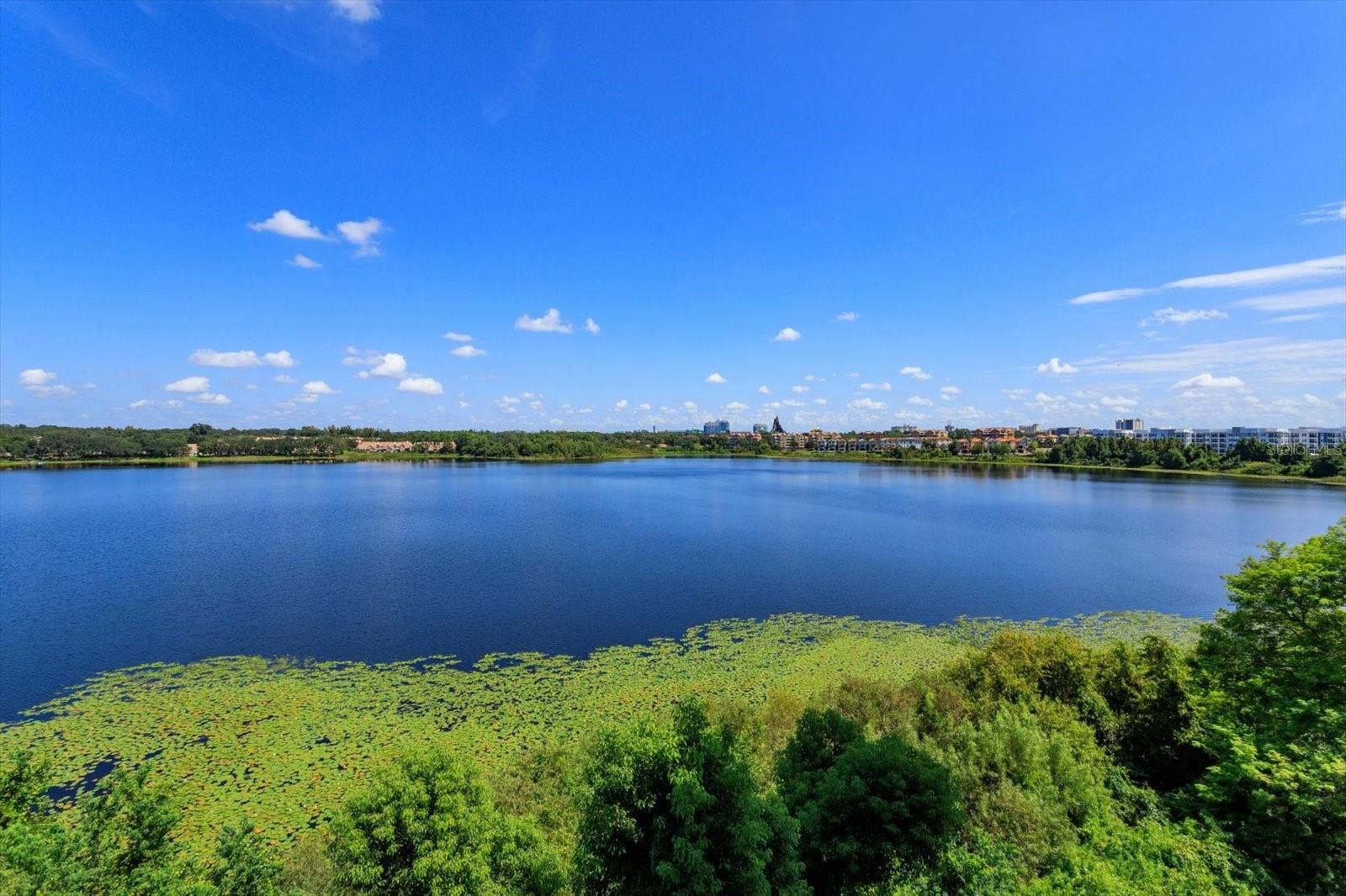 7550 HINSON STREET, #6A, Orlando, FL 32819 views from unit