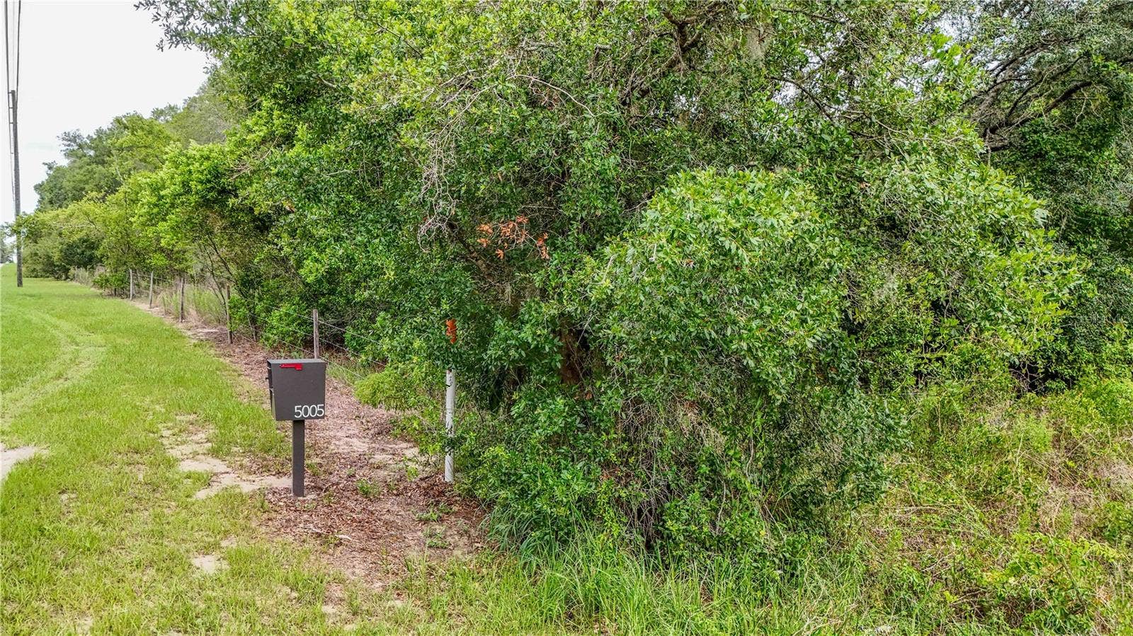 5501 CEMETERY & SADLER ROADS, Mount Dora, FL 32757 5501 CEMETERY & SADLER ROADS, Mount Dora, FL 32757