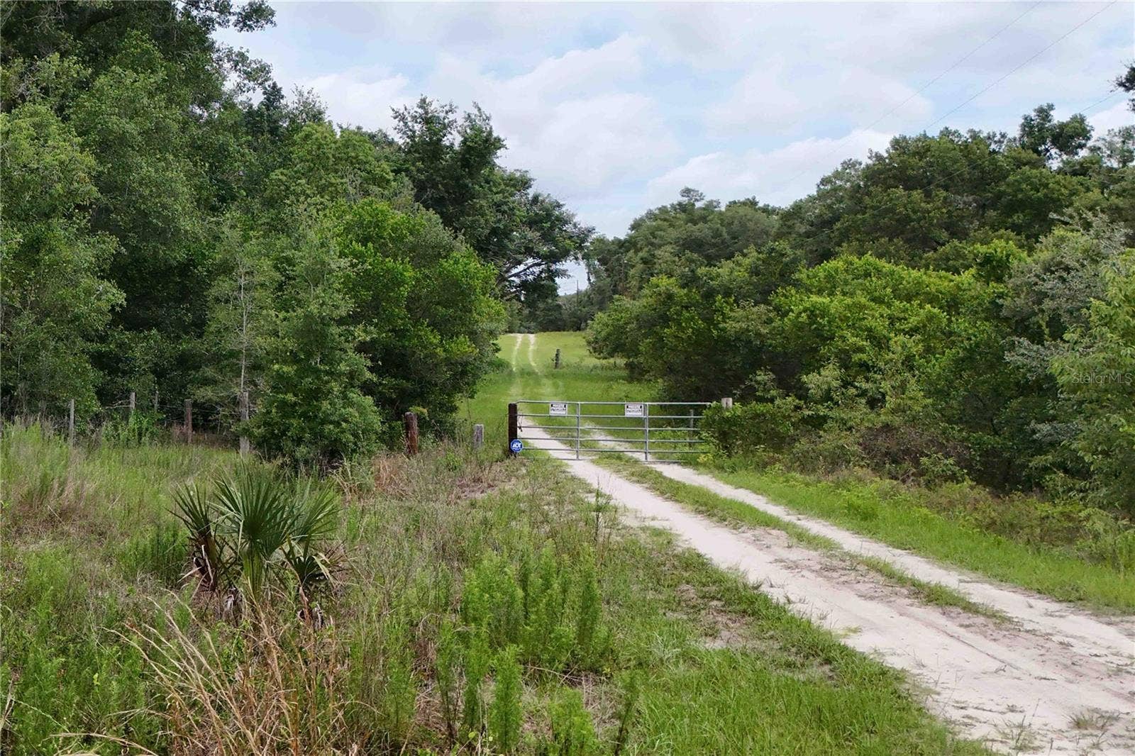 5501 CEMETERY & SADLER ROADS, Mount Dora, FL 32757 5501 CEMETERY & SADLER ROADS, Mount Dora, FL 32757