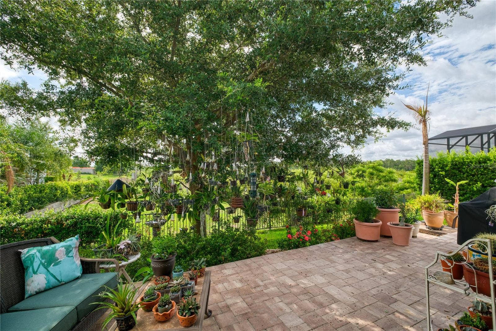 1651 AMSEL FALLS PARK TERRACE, Winter Garden, FL 34787 backyard view featuring conservation area and bird watching.