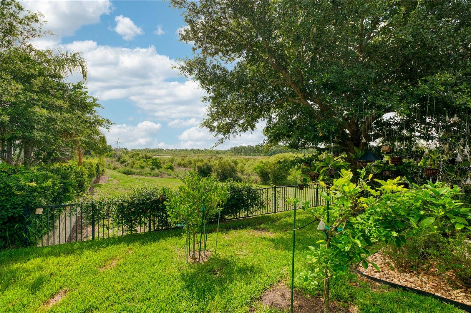 1651 AMSEL FALLS PARK TERRACE, Winter Garden, FL 34787 Breathtaking conservation view from backyard.