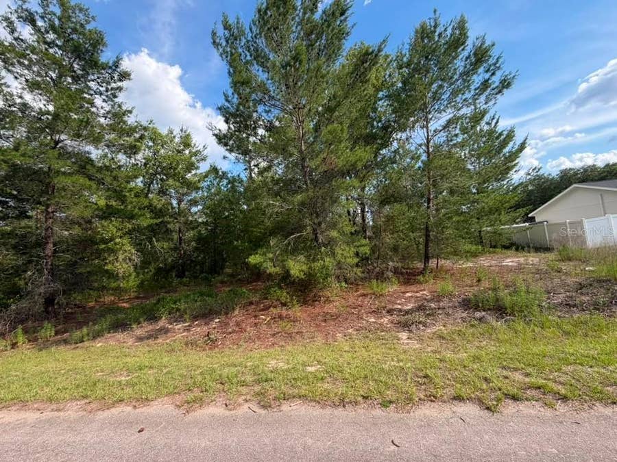 Property photo for 22 FISHER RUN LANE, Ocklawaha, FL
