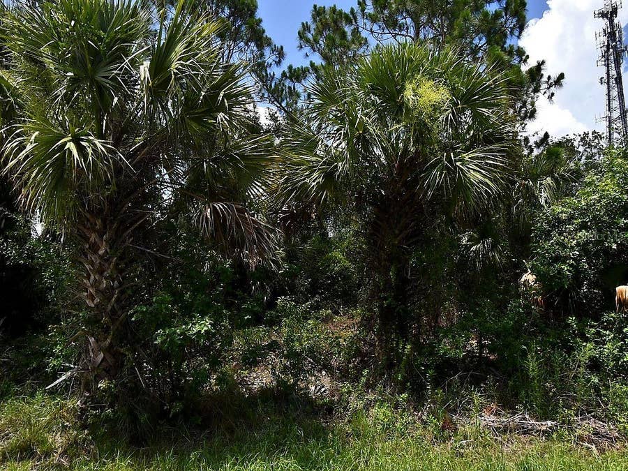 Property photo for SAGO PALM ROAD, North Port, FL