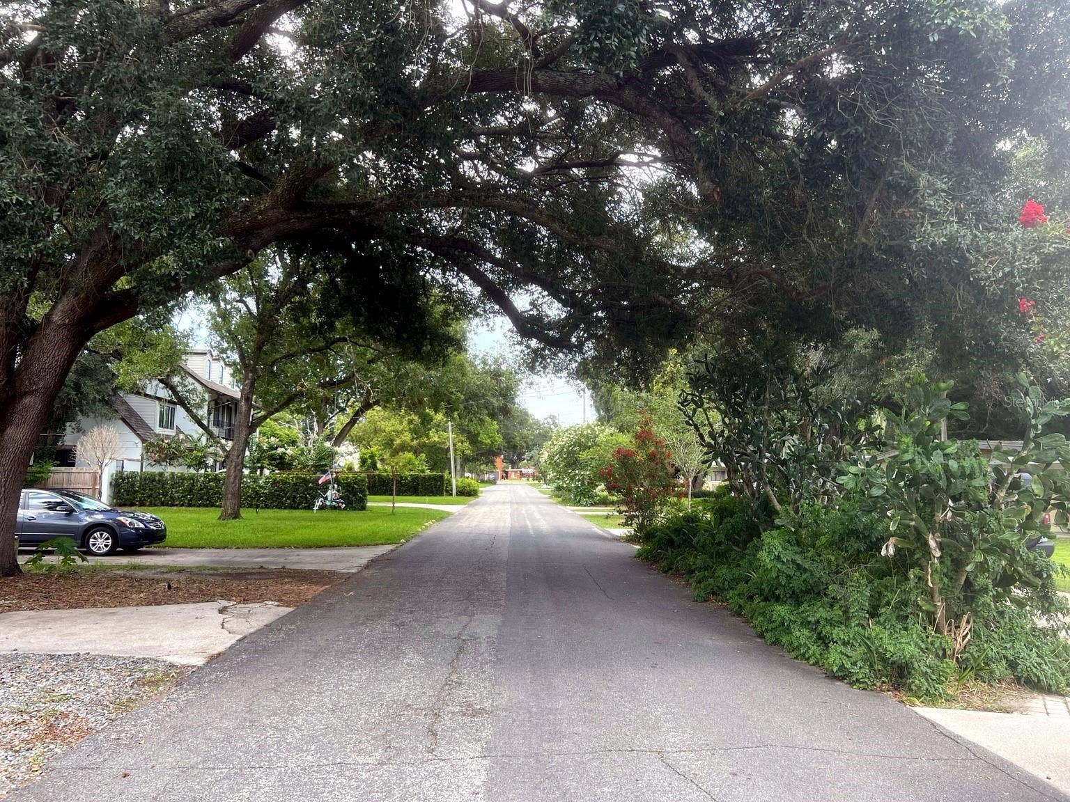 2831 MULFORD AVENUE, Winter Park, FL 32789 2831 MULFORD AVENUE, Winter Park, FL 32789