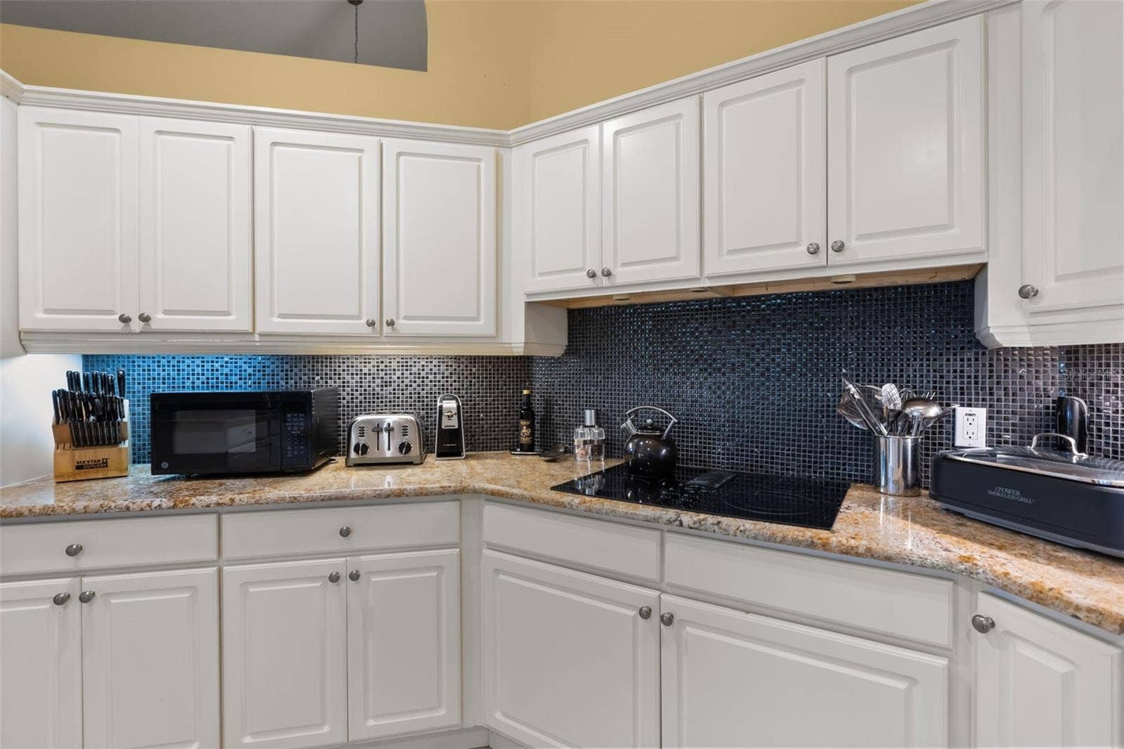 1521 EDGEWATER DRIVE, Mount Dora, FL 32757 1521 EDGEWATER DRIVE, Mount Dora, FL 32757