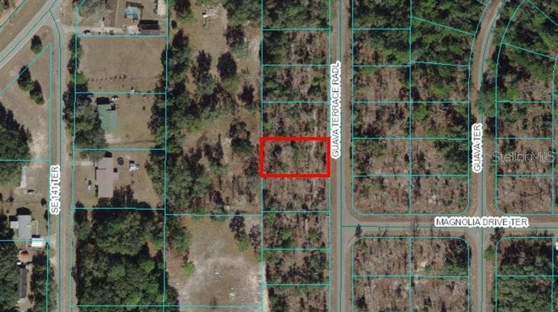 Property photo for 0 GUAVA TERRACE RADIAL, Ocklawaha, FL