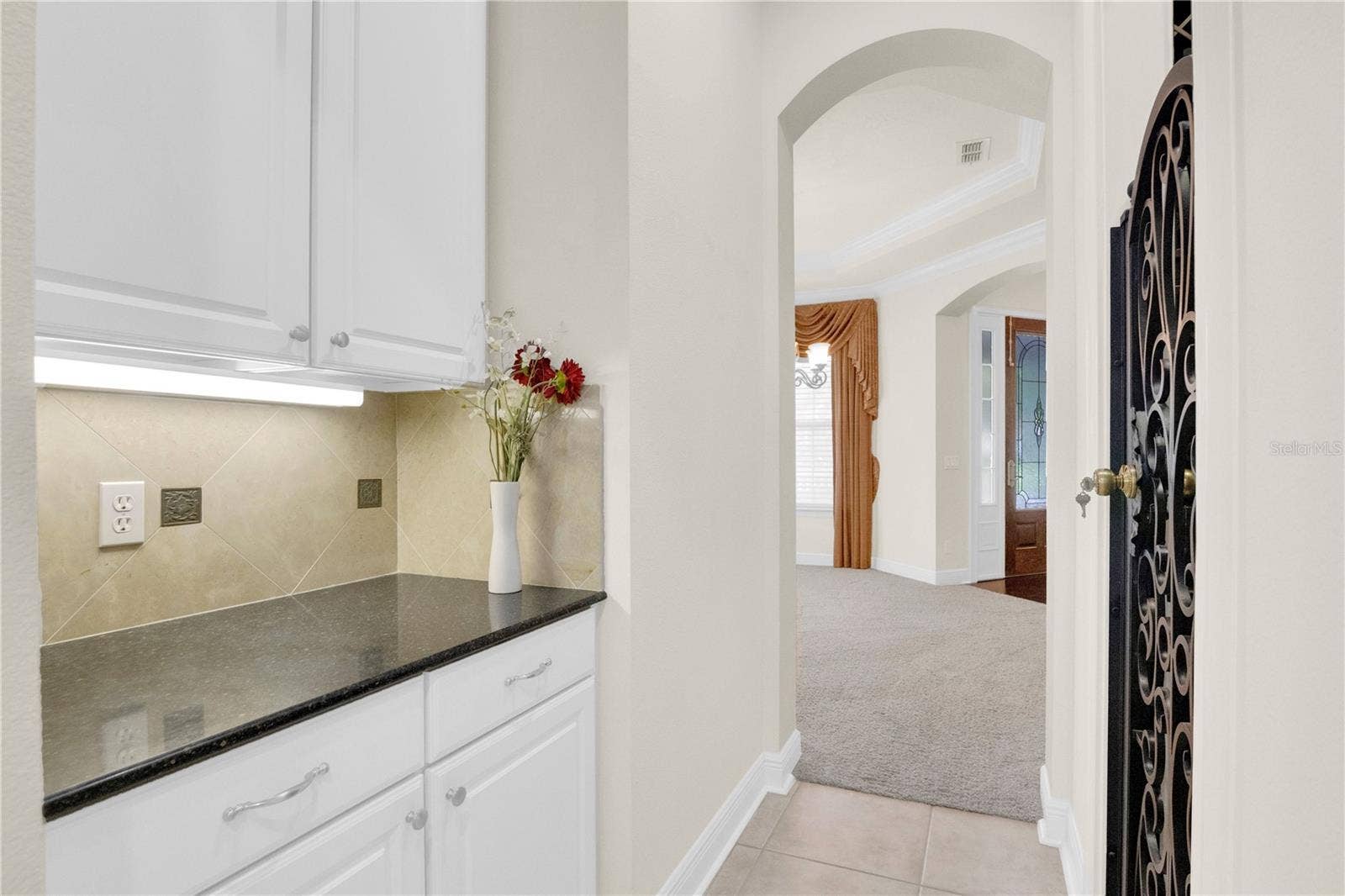 11734 ALDENDALE STREET, Orlando, FL 32836 11734 ALDENDALE STREET, Orlando, FL 32836