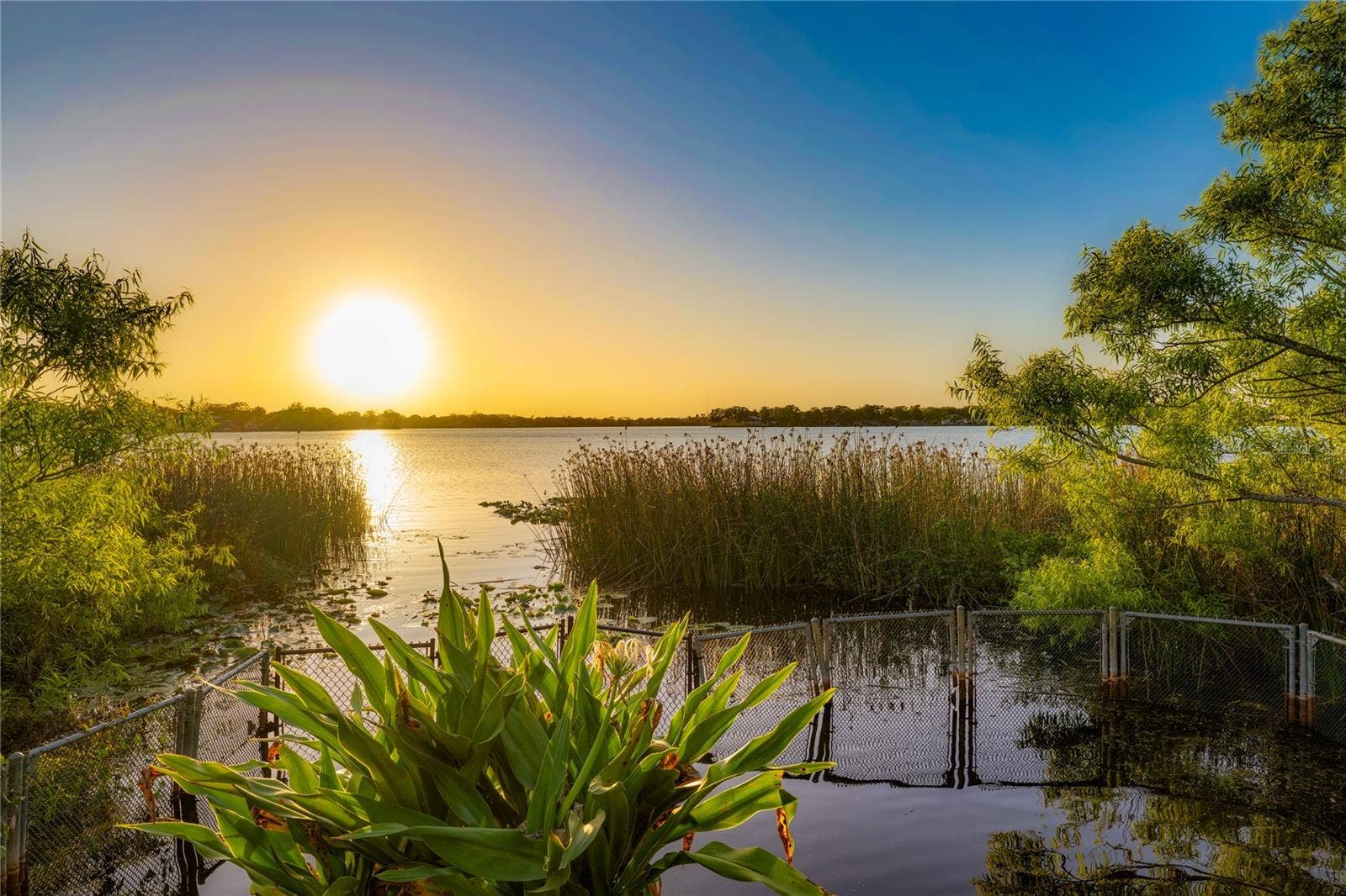 230 KILLARNEY DRIVE, Winter Park, FL 32789 230 KILLARNEY DRIVE, Winter Park, FL 32789