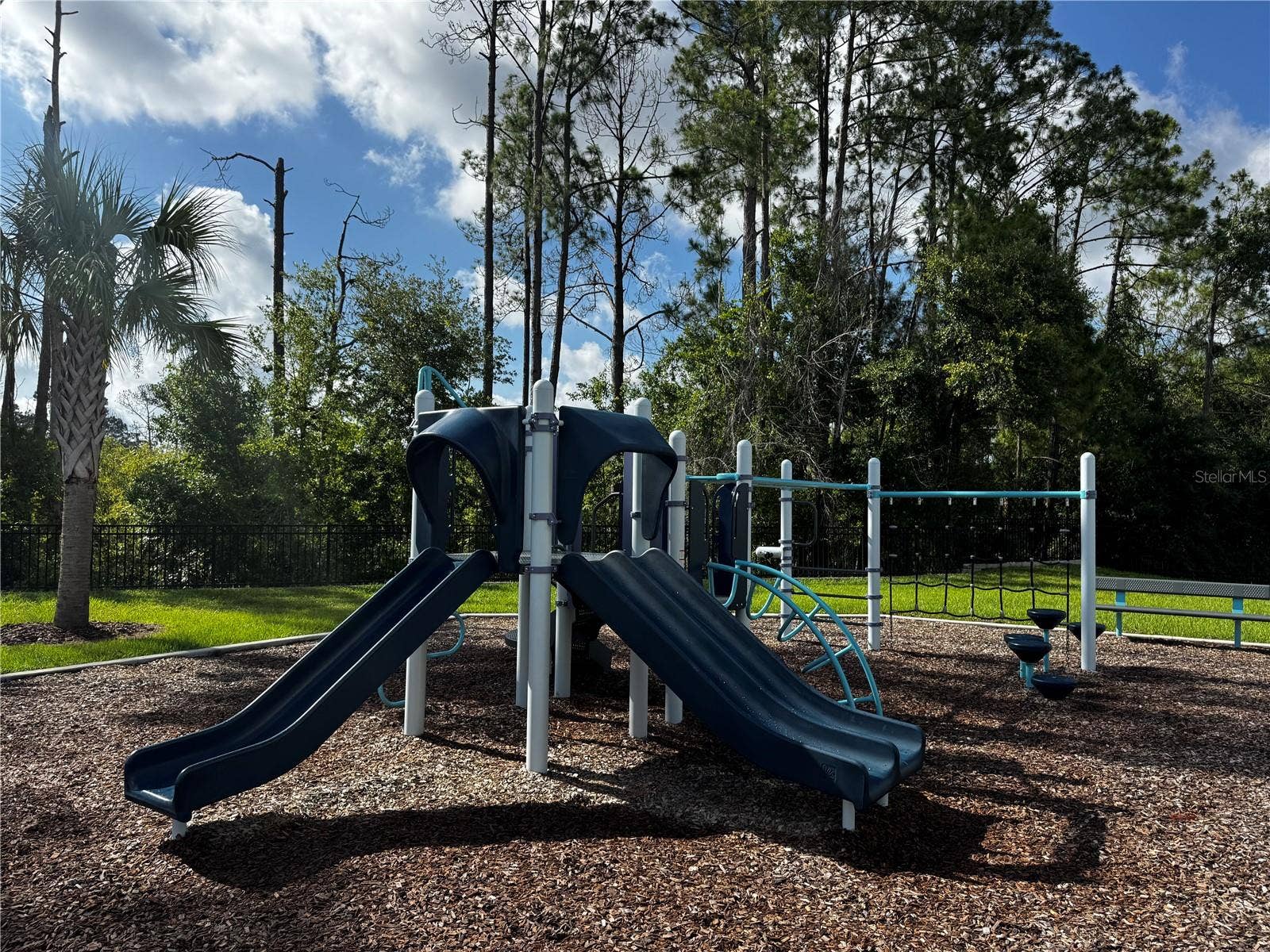 13129 FARO COURT, Winter Garden, FL 34787 Community Playground