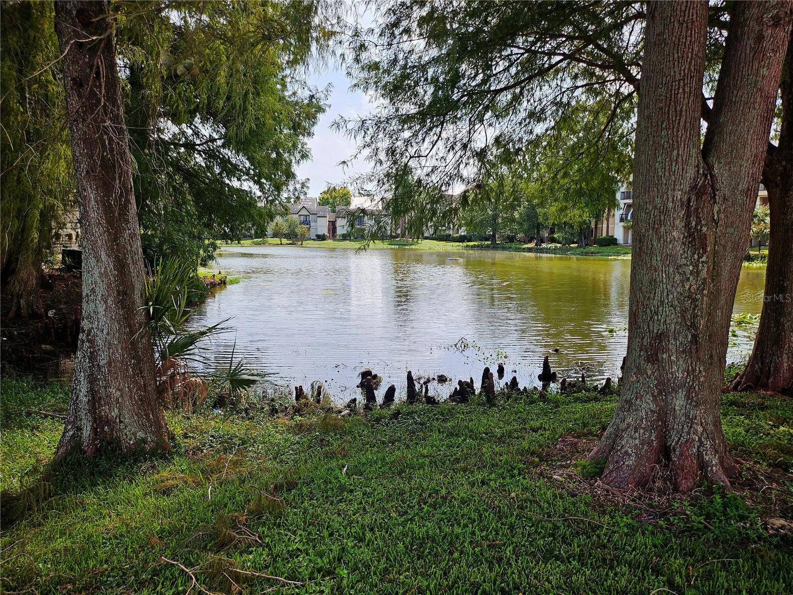 1916 LAKE ATRIUMS CIRCLE, #25, Orlando, FL 32839 1916 LAKE ATRIUMS CIRCLE, #25, Orlando, FL 32839