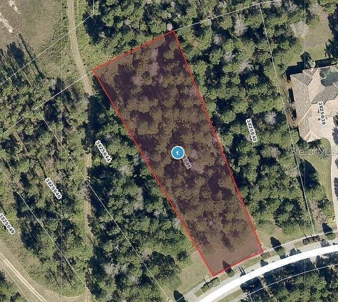 16036 PENDIO DRIVE, Bella Collina, FL 34756 16036 PENDIO DRIVE, Bella Collina, FL 34756