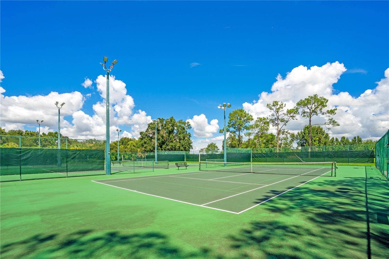 11539 LAKE BUTLER BOULEVARD, Windermere, FL 34786 11539 LAKE BUTLER BOULEVARD, Windermere, FL 34786